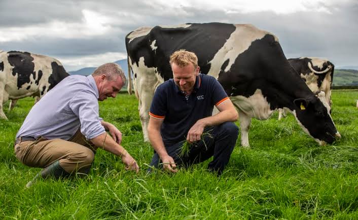 Caring for Our Herd