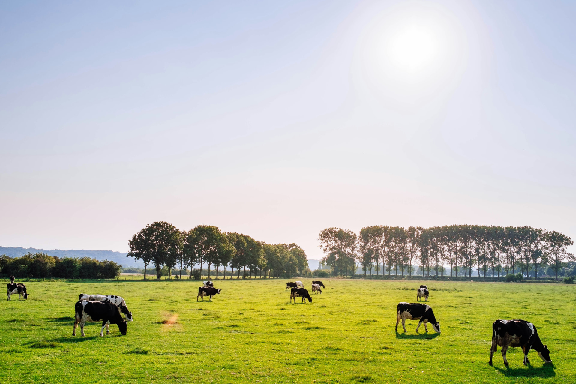 Farm life